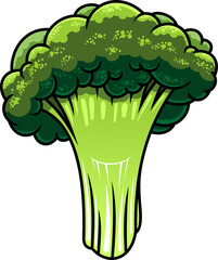 Cauliflower cartoon vector illustration