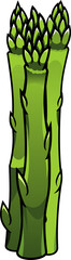 Fresh asparagus cartoon vector illustration