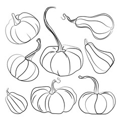 Autumn pumpkin Black line drawing icon set.Vector illustrationon white.Contour template different shape gourd.Thanksgiving and Halloween, season crop capacity.Linear pumpkins of various shapes