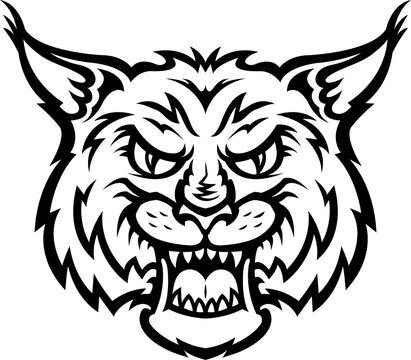 Angry wild cat outline vector illustration