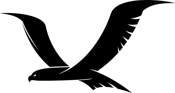Hawk flying bird isolated silhouette