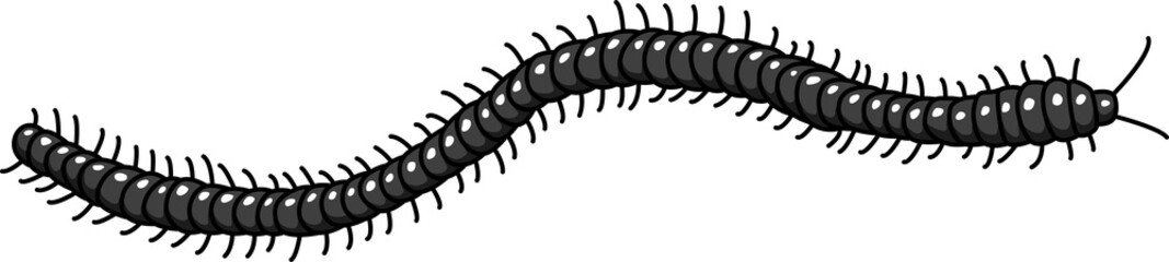 Worm snail vermin black earthworm