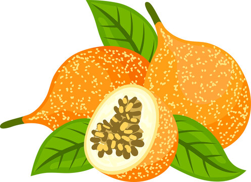 Exotic grenadilla with green leaves isolated fruit