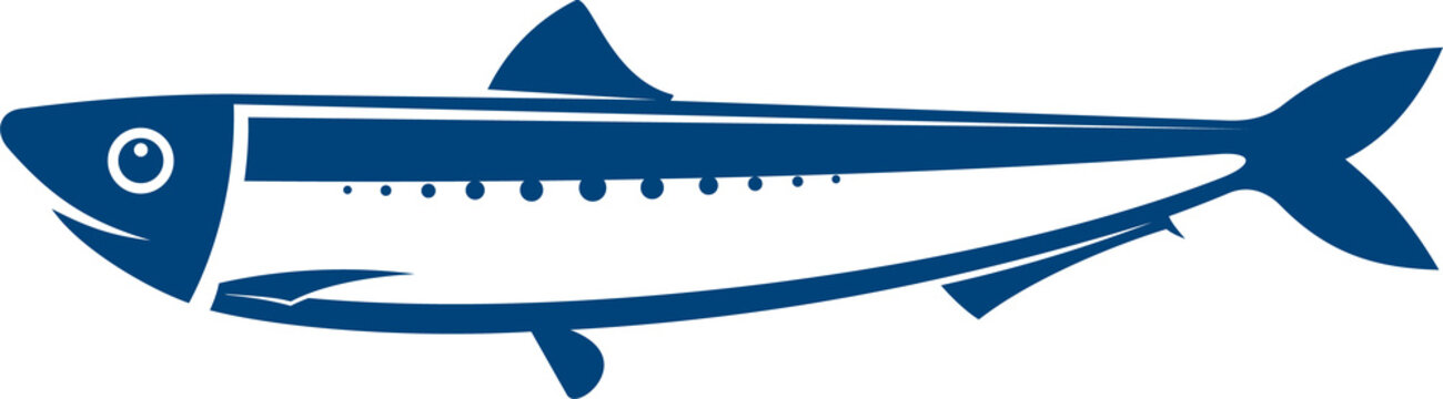 Sardine or herring isolated fish in flat style