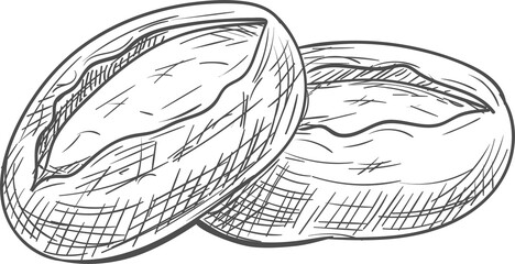 Loaf of fresh bread isolated bakery product sketch