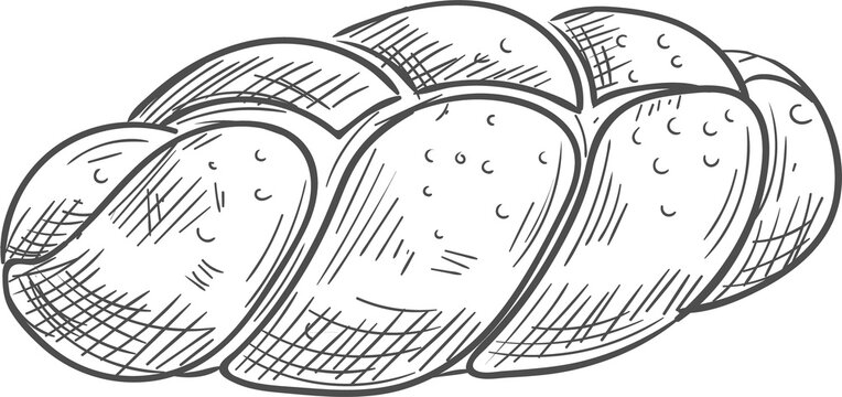 Braided bread isolated vector pastry food sketch