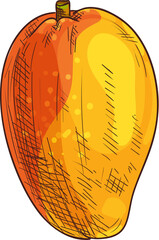 Mango isolated fruit, vector exotic food dessert