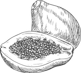 Pawpaw tropical fruit isolated papaya exotic food