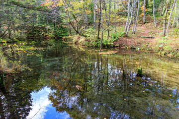 神聖な神の子池「秋の北海道」