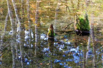 神聖な神の子池「秋の北海道」