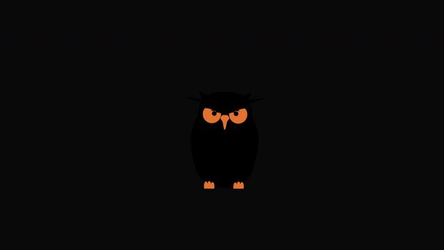 halloween owl motion graphics video transparent background with alpha channel