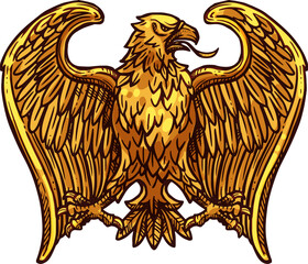 Heraldic gold eagle bird sketch