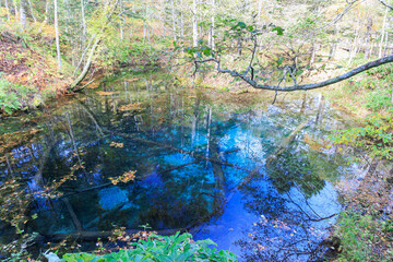 神聖な神の子池「秋の北海道」