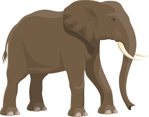 Fototapeta premium Elephant, African safari zoo and hunt wild animal