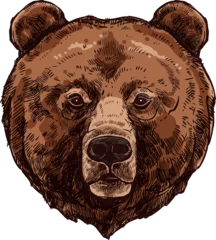 Fototapeten Mascot of brown siberian bear isolated head sketch © Vector Tradition