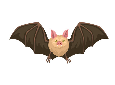 Bat animal flying character illustration vector