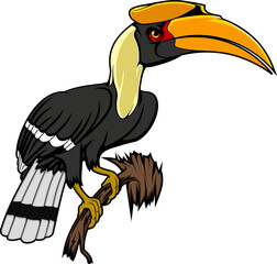 Fototapeta premium Knobbed hornbill isolated exotic bird on branch