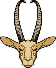 Gazelle or antelope isolated animal head portrait
