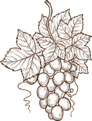 Bunch of grapes, leaves isolated hand drawn sketch - obrazy, fototapety, plakaty
