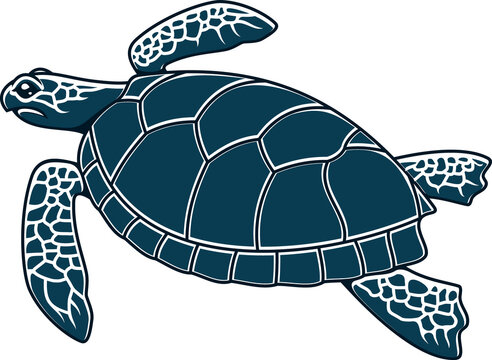 Loggerhead sea turtle isolated marine animal