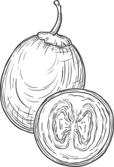 Tomate andino or serrano, tamarillo exotic fruit