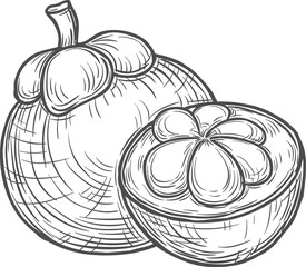 Santol exotic fruit isolated food monochrome icon