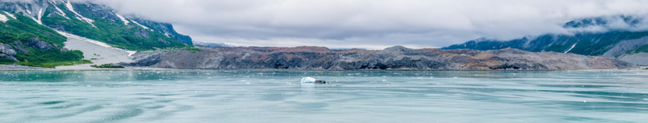 A view of terminal moraine from the retreat of the Marjerie Glacier in Glacier Bay, Alaska in...