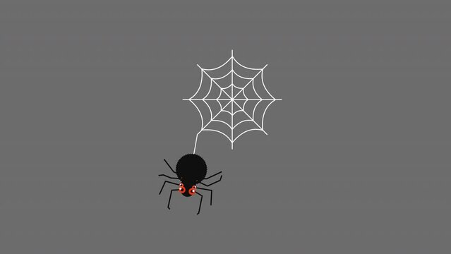 spider and spider web loop motion graphics video transparent background with alpha channel