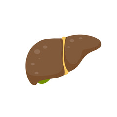 Liver icon. The liver is the human internal organ that helps filter toxins and waste from the body.