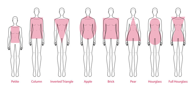 Set of Women body shape types: apple, pear, column, brick, hourglass, inverted triangle, petite. Female Vector illustration silhouette 9 head size lady figure front view. Vector outline sketch girl