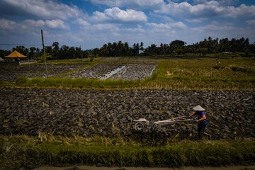 Worker plowing a rice field in the middle of ubud on the island of bali, indonesia, using a rudimentary electric car during midday