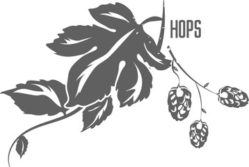 Hops vector silhouette. Hops branches flowers and cones. Hops vector set illustration for packing, beer, pattern. Hops illustration of medicinal herbal for pharmaceuticals and cosmetology.
