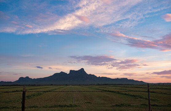 Agricultural Southwest scene with Picacho Peak and sky background