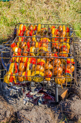 Meat with vegetables in a grill is fried on a fire