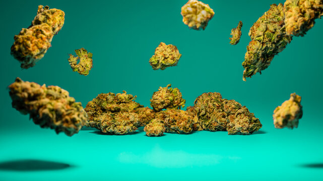 Marijuana flower buds on green background.