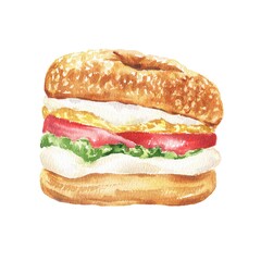 Watercolour sandwich isolated on transparent background. Food illustration.
