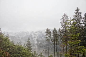 Wald im Harz, Berge und Wolken