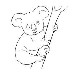 Coloring book page with cute cartoon koala on branch. Activity page and worksheet. Vector illustration funny animals character isolated on white background.  © Betswork