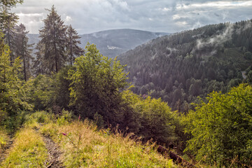 Wanderweg, Rund um Lautenthal, Goslar, Harz, Bergbau, Bergbauleerpfad, Wandern und Panorama