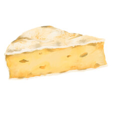 Fototapeta na wymiar Brie Cheese wheel white mold creamy milky taste digital oil painting illustration