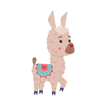 Cute fluffy baby llama. Alpaca domesticated animal. Childish print for sticker, card, textile, nursery decor vector illustration