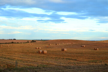 Obraz premium Autumn harvest: autumn field with bales of straw against the blue sky