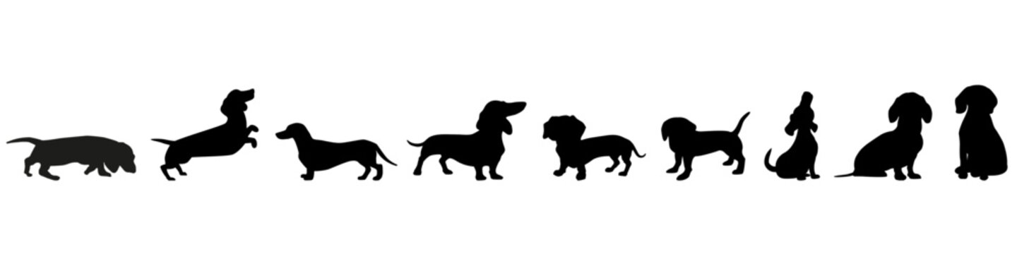 Dachshund icon vector set. Dog illustration sign collection. Home pet symbol or logo.