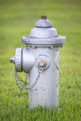 A single silver fire hydrant on a front lawn of grass