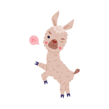 Cute fluffy baby llama saying Hi. Funny alpaca character domesticated animal cartoon vector illustration