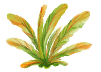 Fototapeta premium Tropical red green plant elements autumn watercolor hand painting illustration