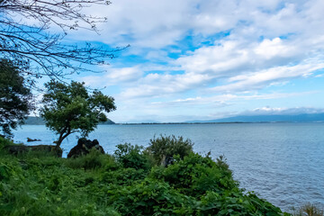 滋賀県近江八幡市　夏の晴れた早朝　琵琶湖の美しい風景に浸る