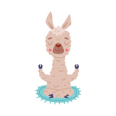 Cute relaxed llama in meditation pose. Alpaca character domesticated animal cartoon vector illustration