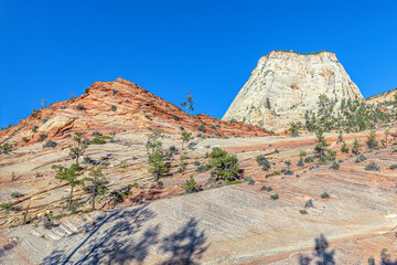 mountain landscape in the zion national park, Utah, USA