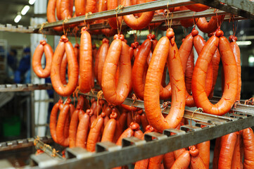 a lot of smoked sausages on the metal shelves of the racks of the meat factory. Food production